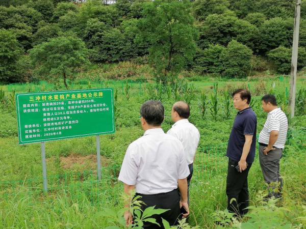 侯其标一行赴宿松县三冲村开展扶贫走访慰问(图4)